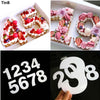 Plastic Acylic Number Cake Mold-PocketOutdoor2-PocketOutdoor