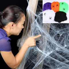 Stretchy Spider Web With Spider for Halloween Party Decoration-Spider web-Pocket Outdoor-Pocket Outdoor