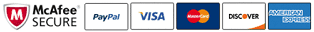 Secure Payment Through Paypal